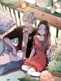 闪婚老公竟是首富短剧在线观看